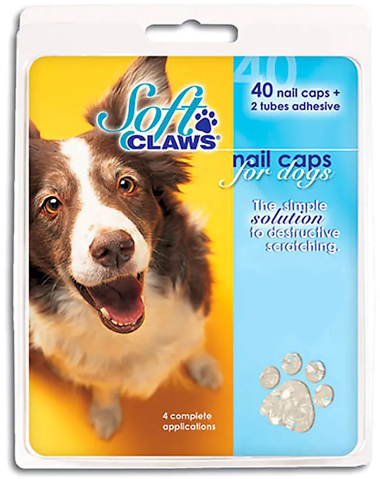 Soft Claws Nail Caps for Dogs Natural Photo 1
