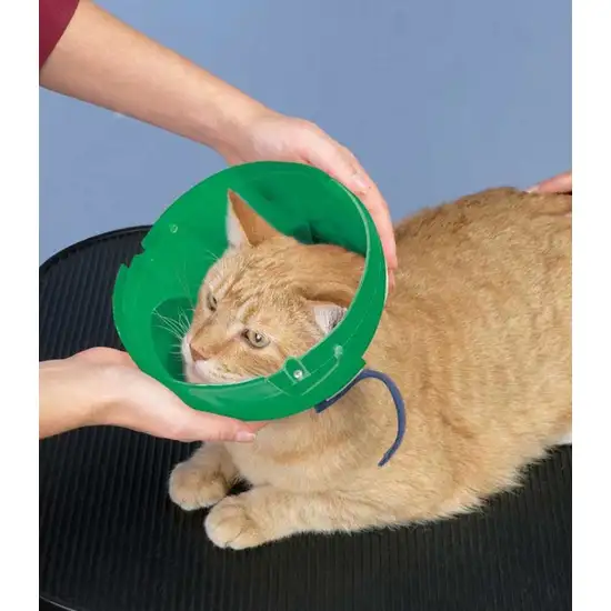 Soft Claws Soft Paws E-Collar for Cat and Small Dogs Photo 2