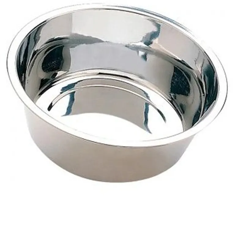 Spot Diner Time Stainless Steel Pet Dish Photo 2