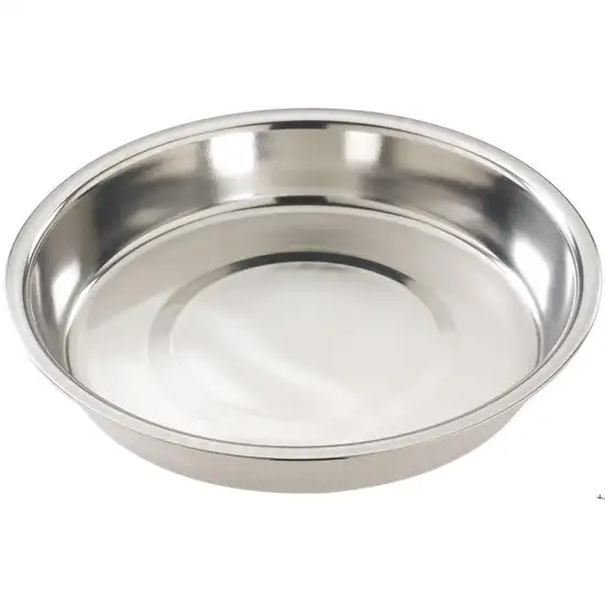 Spot Stainless Steel Puppy Dish 10