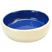 Photo of Spot Stoneware Pet Dish for Food or Water