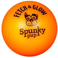 Photo of Spunky Pup Fetch and Glow Ball Dog Toy Assorted Colors