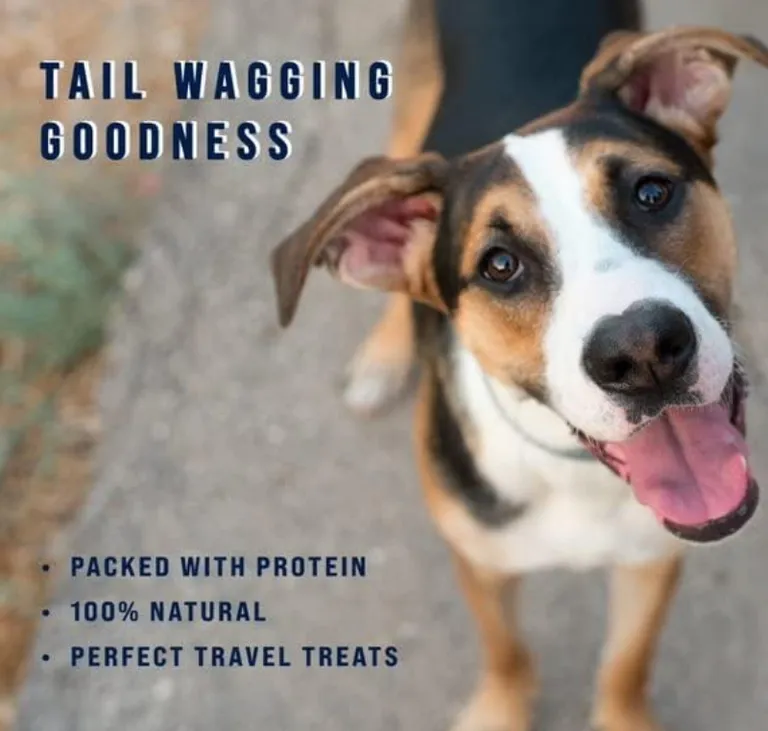 Stewart Beef Liver Freeze Dried Dog Training Treats Photo 4