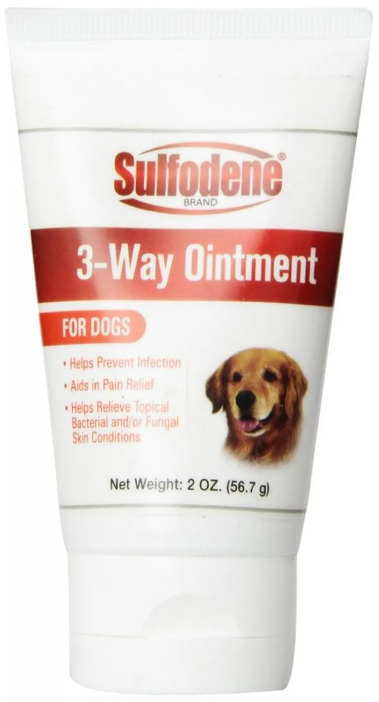 Sulfodene 3-Way Ointment for Dogs Photo 2