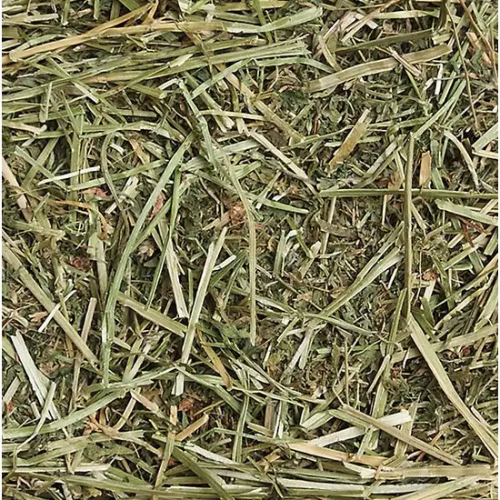 Sunseed SunSations Natural Alfalfa Hay Photo 2