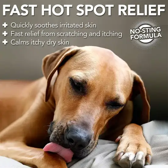 Vets Best Hot Spot Spray Itch Relief Photo 4