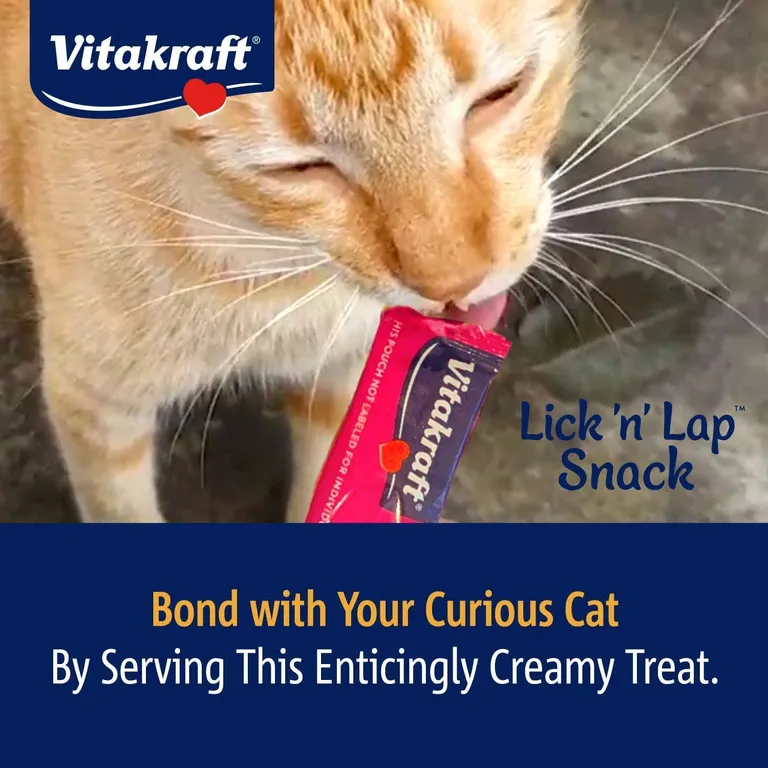 Vitakraft Lick N Lap Snack Salmon Cat Treat Photo 4