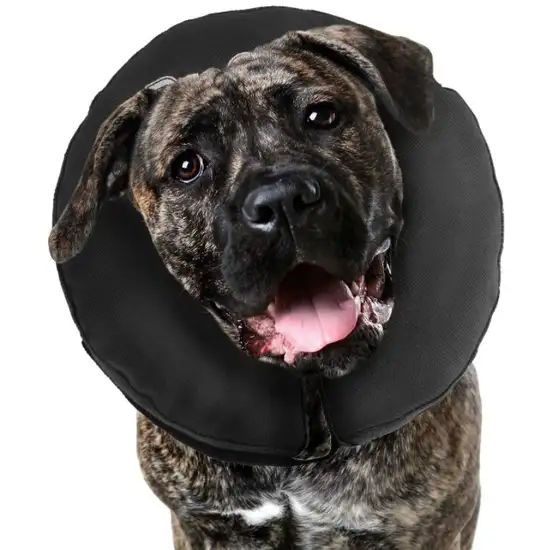 ZenPet Pro-Collar Inflatable Recovery Collar Photo 2