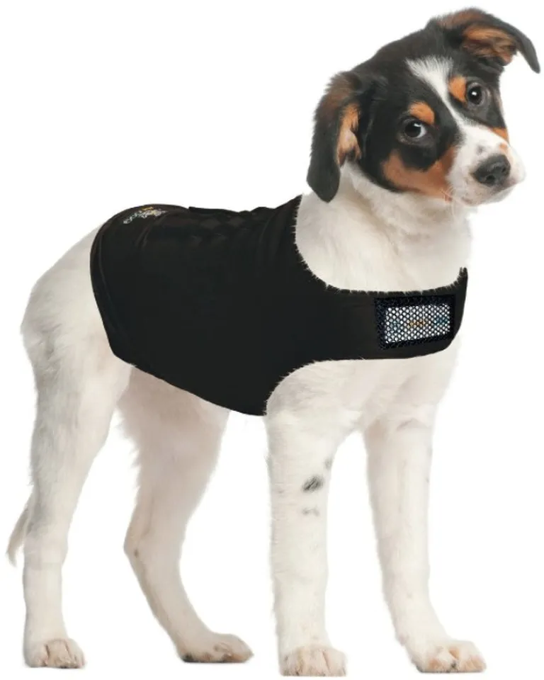 ZenPet Zen Dog Calming Compression Shirt Photo 4