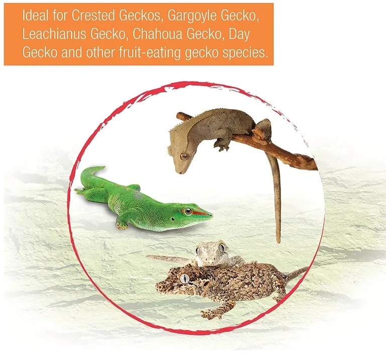 Zilla Gecko Gold Powdered Diet Photo 3