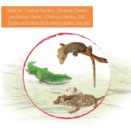 Zilla Gecko Gold Powdered Diet Photo 3