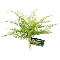 Photo of Zoo Med Naturalistic Flora Lace Fern