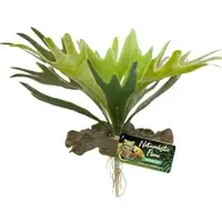 Photo of Zoo Med Naturalistic Flora Staghorn Fern