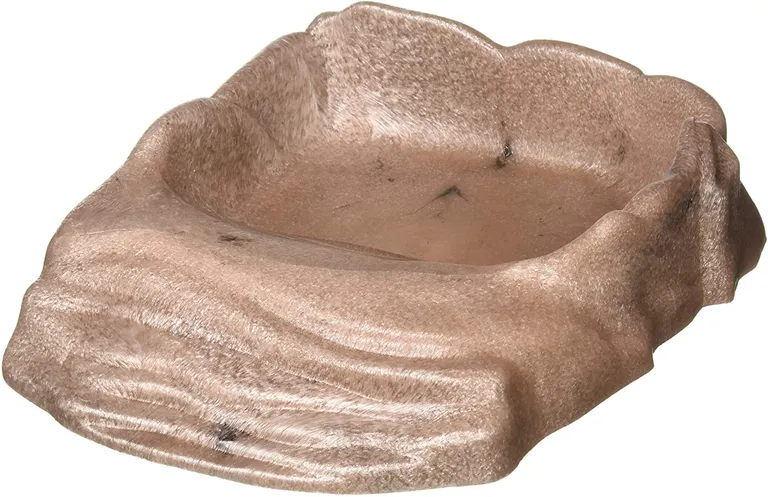 Zoo Med Repti Ramp Bowl Allows Small Animals Easy Access to Water Photo 3